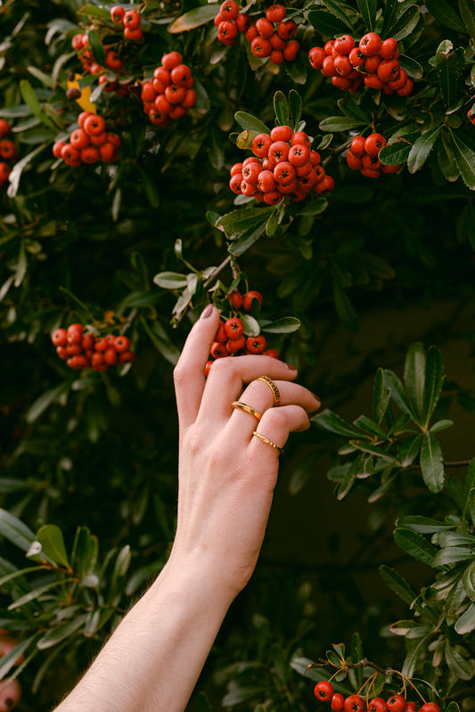 The Eartha Ring