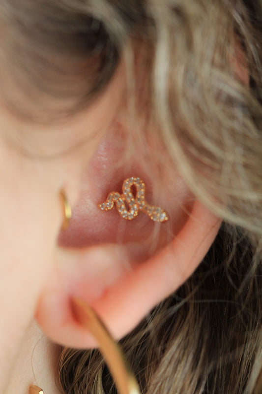 Sierra Single Earring