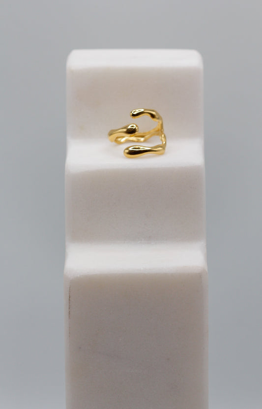 The Maya Ring